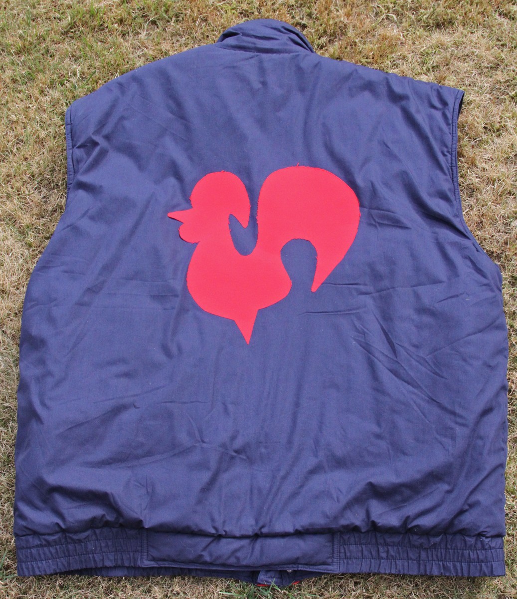 2003 Haone bodywarmer achterkant